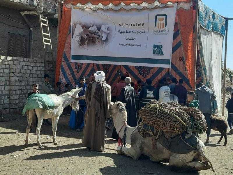 محافظ أسيوط: استمرار تنظيم قوافل بيطرية مجانية بالمراكز