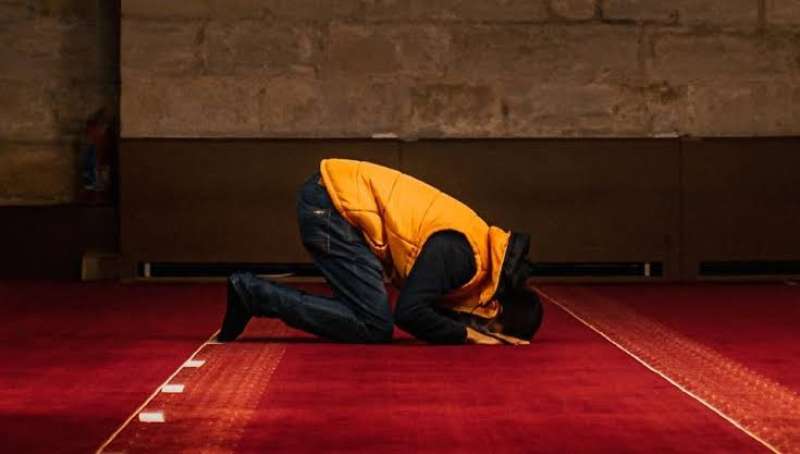 صورة ارشيفة 