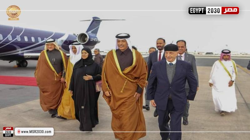 المستشار عقيلة صالح