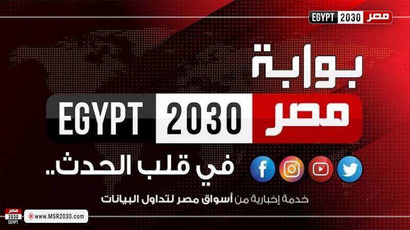 بوابة مصر 2030 