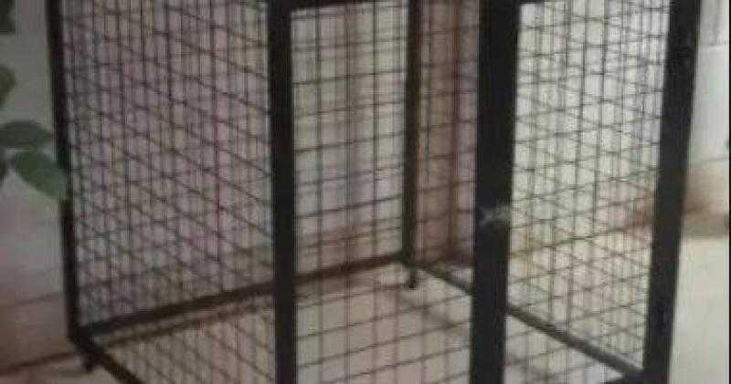 تفاصيل جديدة في خلية تهريب عناصر الإخوان خارج البلاد