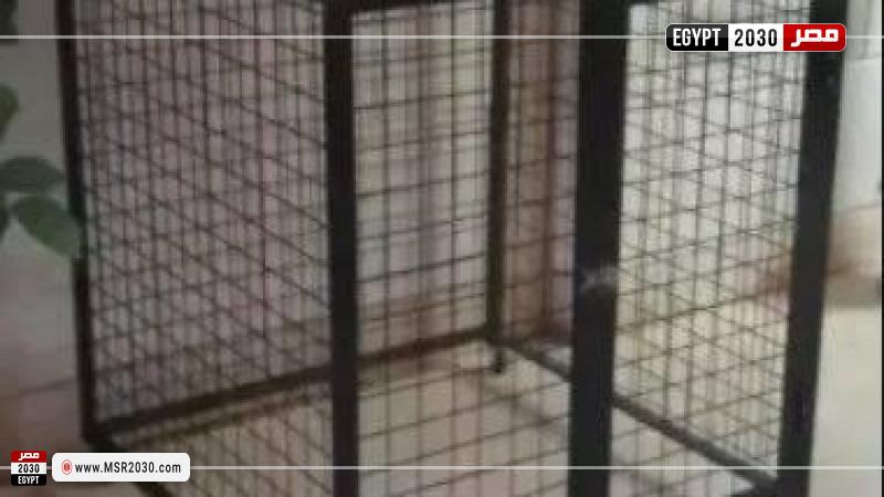 تفاصيل جديدة فى خلية تهريب عناصر الأخوان خارج البلاد