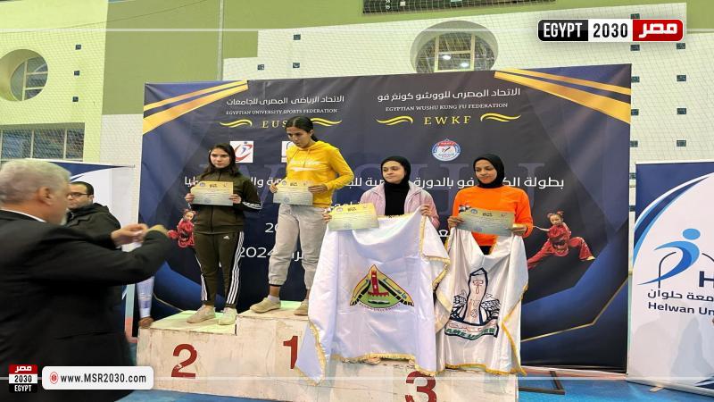 الجامعات والمعاهد العليا المصرية
