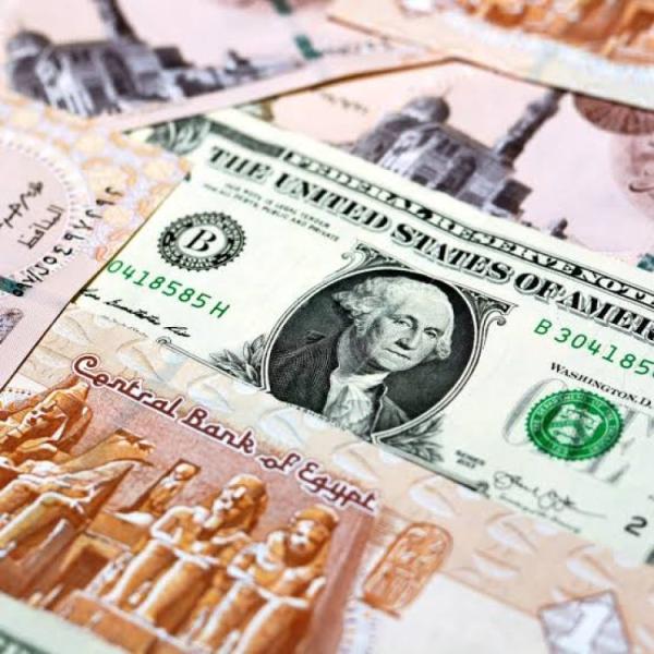 الدولار مقابل الجنيه المصري 