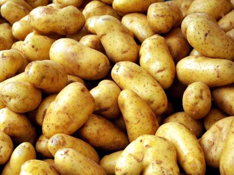 عند ظهور هذه العلامة على البطاطس ارميها فورا