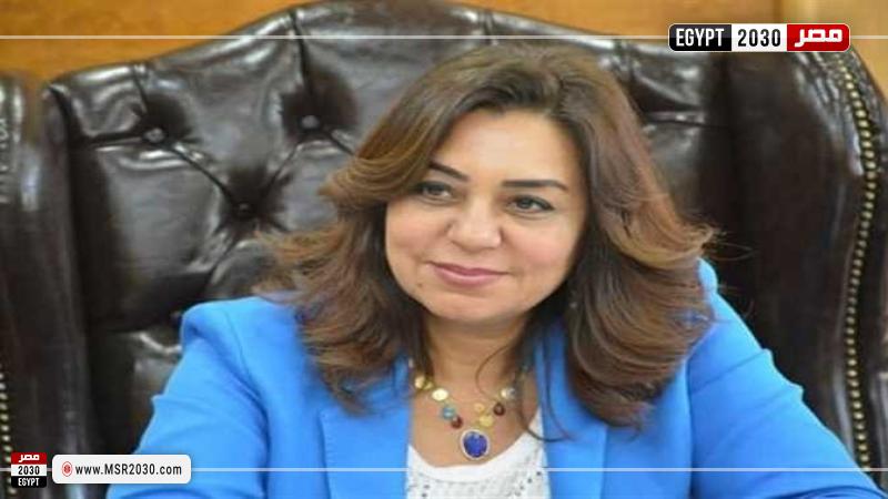 محافظ دمياط