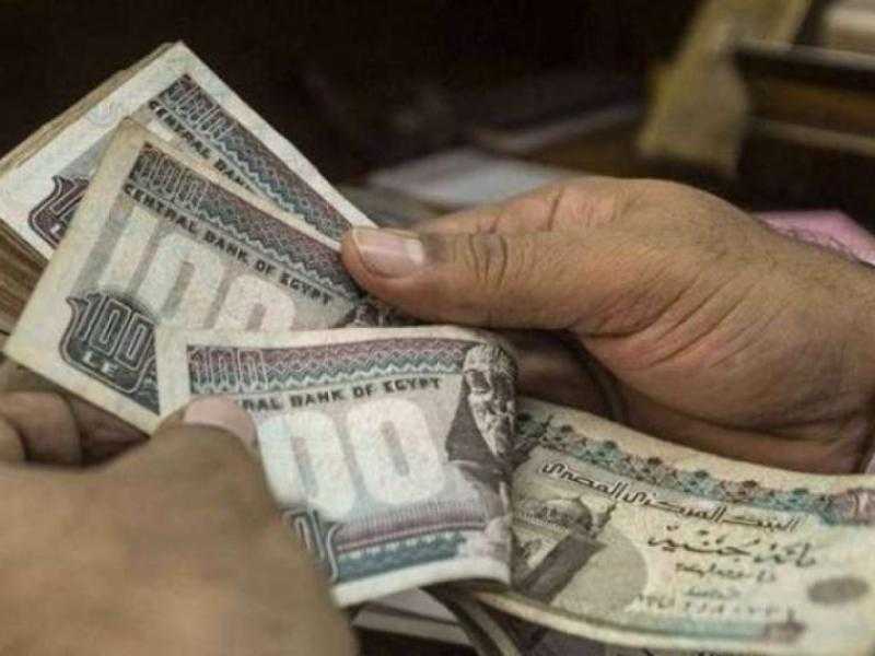 مجدي البدوي: لم يتم مناقشة موعد تطبيق الحد الأدنى للأجور في القطاع الخاص.. «فيديو»