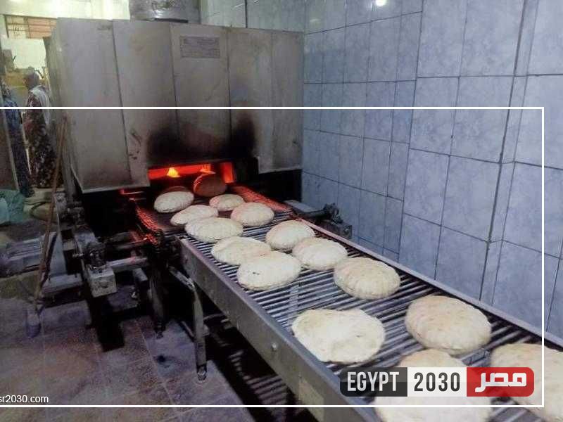 تحرير 10 محاضر تموينية متنوعة في حملات على المخابز بقلين