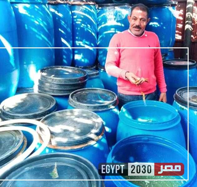 ضبط 15 طن مخلل مجهول المصدر و600 عبوة سمن تم حجبها بالبحيرة