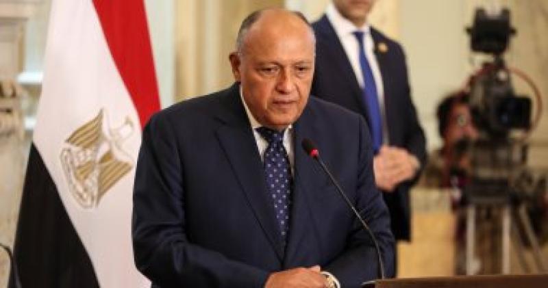 وزير الخارجية سامح شكرى
