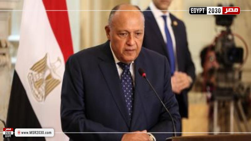  وزير الخارجية سامح شكرى