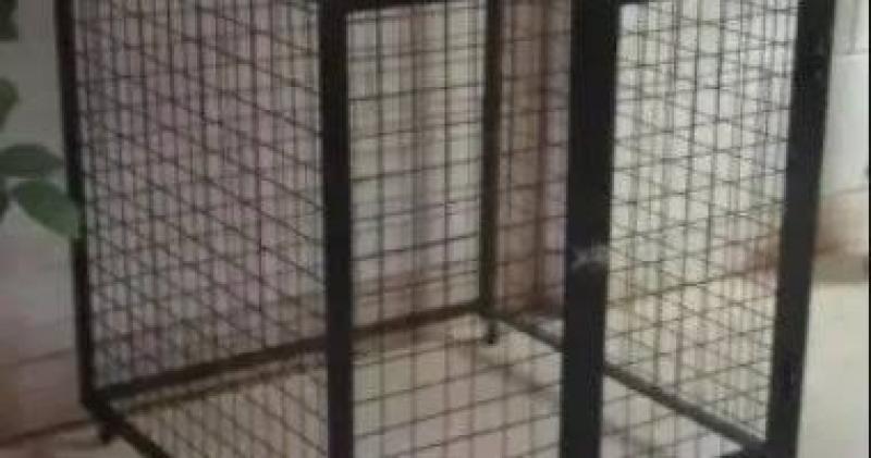 اليوم.. نظر إعادة إجراءات محاكمة متهم في أحداث عنف إمبابة