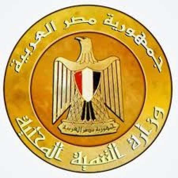 التنمية المحلية 