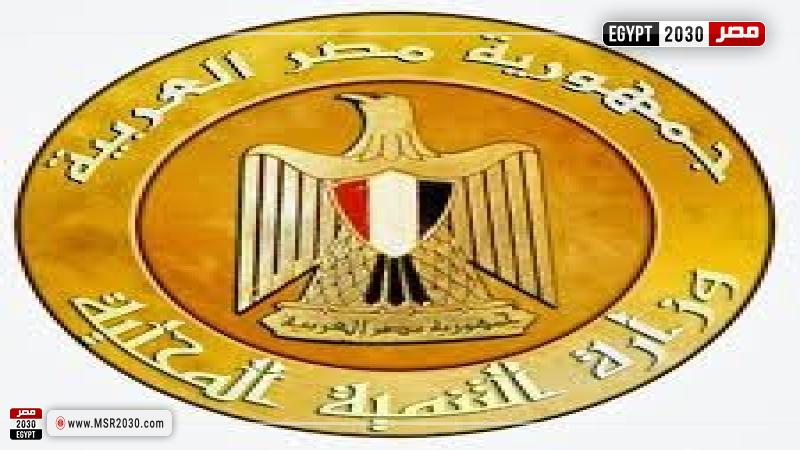 التنمية المحلية