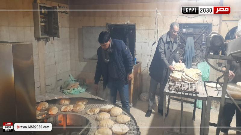 محافظة كفرالشيخ 