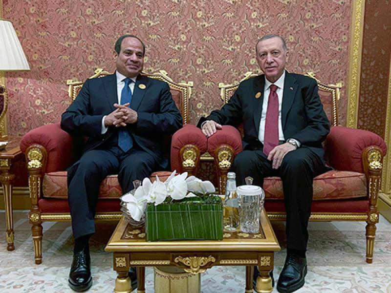 أردوغان يلتقي نظيره المصري السيسي