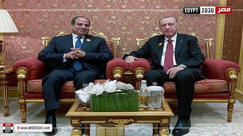 الرئيس السيسي وأردوغان