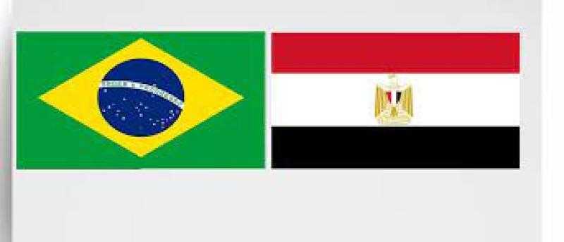 أستاذ علاقات دولية يوضح أهمية العلاقات المصرية البرازيلية.. «فيديو»