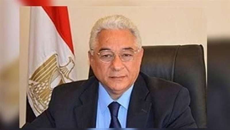 السفير علي الحفني