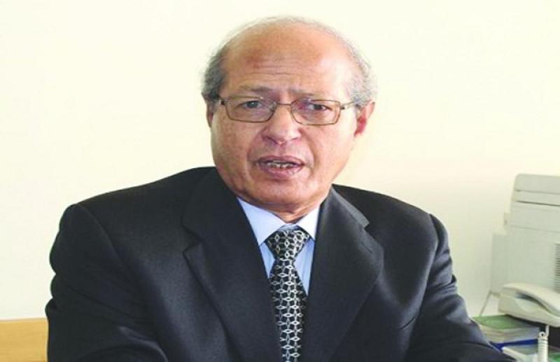 السفير رخا أحمد حسن