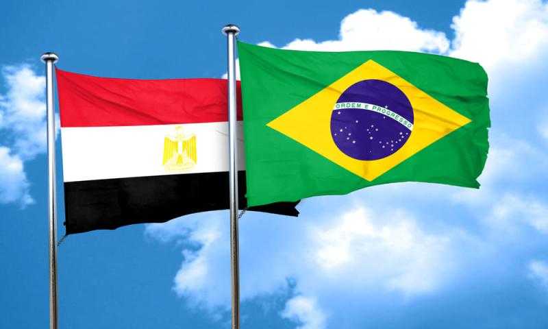 أستاذ استثمار: مصر والبرازيل يسعيان للأسواق الحرة والدمج الاقتصادي
