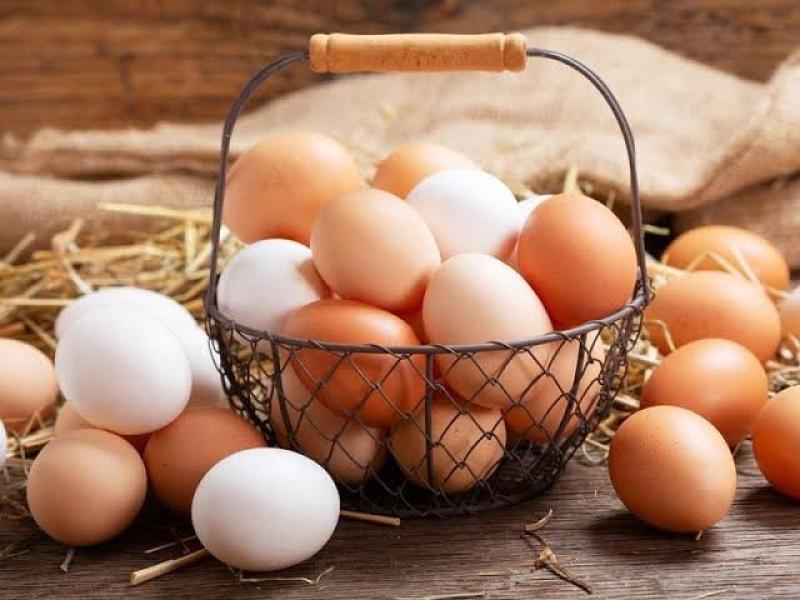 سعر كرتونة البيض اليوم الأحد للمستهلك.. «بقت بكام»