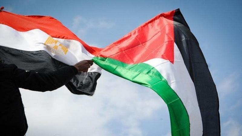 علم مصر مع فلسطين 
