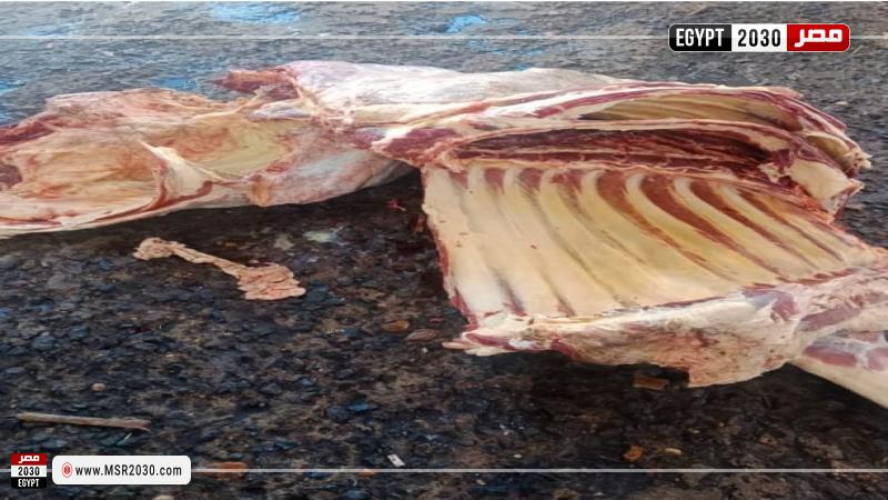 محافظة المنيا