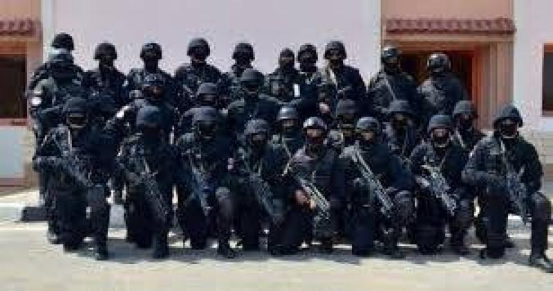 الداخلية تقضي على البلطجة.. سقوط 14 في قبضة الشرطة