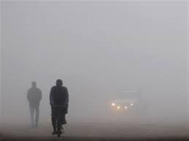 نصائح المرور لمواجهة الشبورة المائية على الطرق ومنع الحوادث