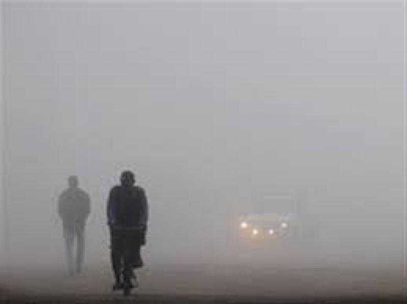 نصائح المرور للقيادة الآمنة لمنع حوادث الطرق أثناء الشبورة