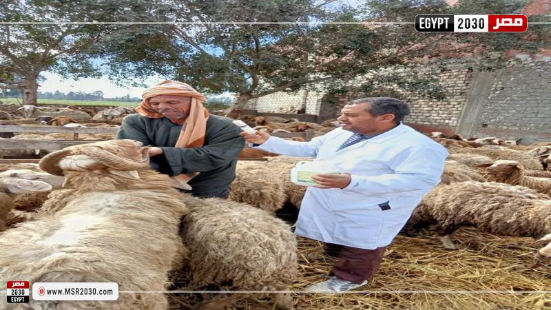 محافظة البحيرة 