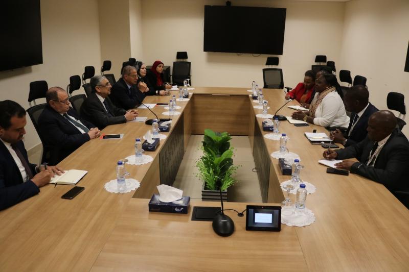 «شاكر» يستقبل الوزير المفوض للطاقة بتنزانيا لبحث سبل الدعم والتعاون الثنائي