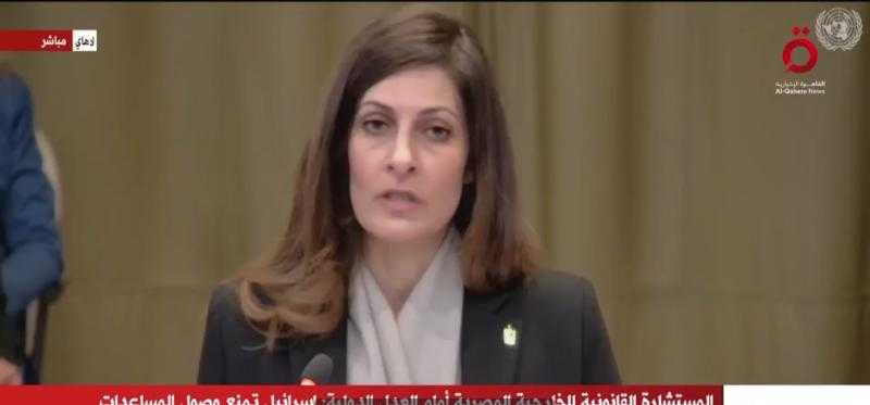 أستاذ علوم سياسية: مرافعة مصر أمام محكمة العدل كانت أشبه بمعركة دبلوماسية وقانونية