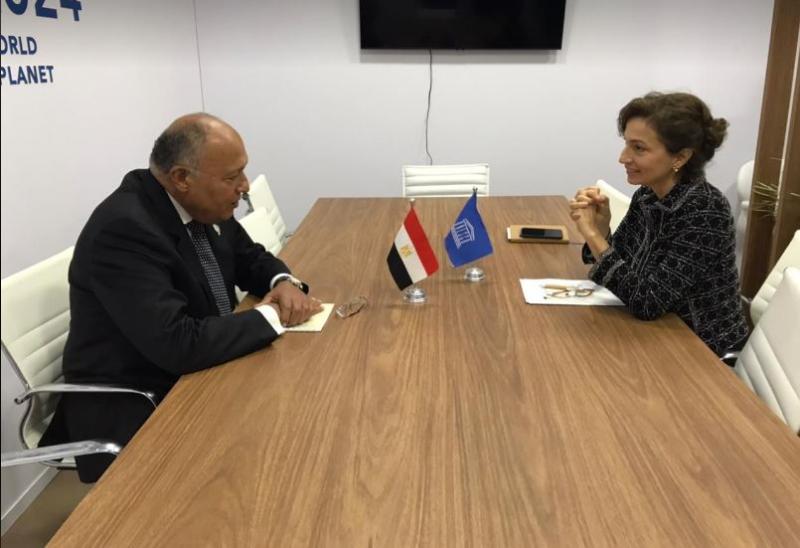 سامح شكري