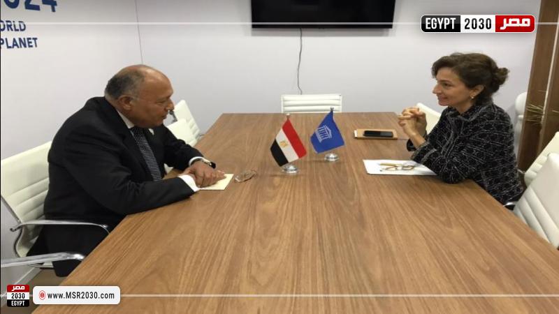 سامح شكري