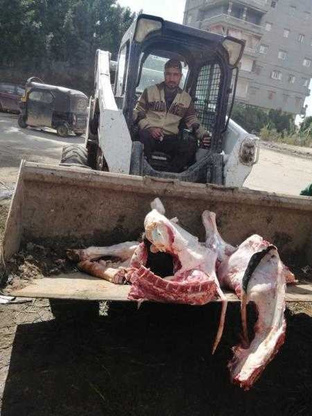 إعدام 200 كيلو لحوم غير صالحة للاستهلاك الآدمي بمطوبس