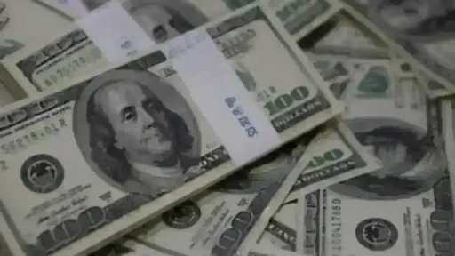 ثبات سعر الدولار اليوم الثلاثاء بمستهل التعاملات.. الأخضر بكام