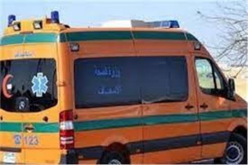 إصابة 12 شخصا في انقلاب سيارة ربع نقل بأسوان