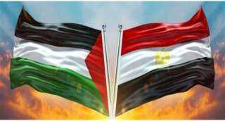أستاذ علاقات دولية: مصر لا تمل من الدفاع عن الأشقاء الفلسطينيين