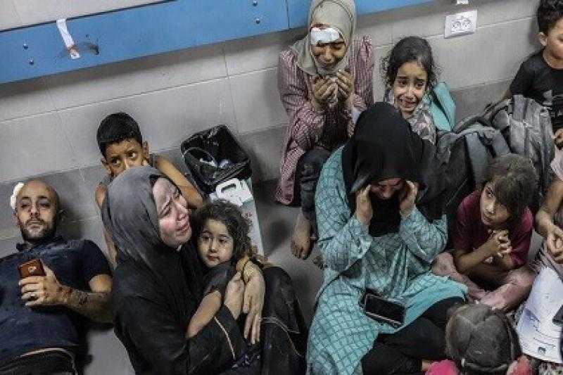 خبير علاقات دولية: الاحتلال يستخدم سلاح الجوع لكسر صمود وإرادة الشعب الفلسطيني