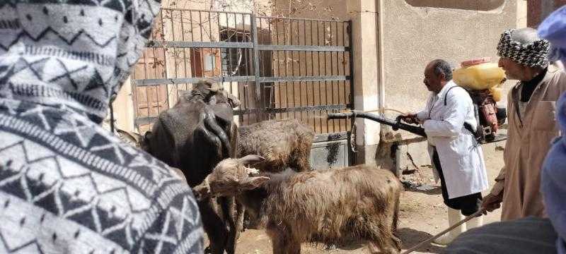 560 حالة حصاد قافلة جامعة الزقازيق بقرية أولاد سيف بالشرقية