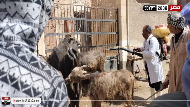 قافلة جامعة الزقازيق
