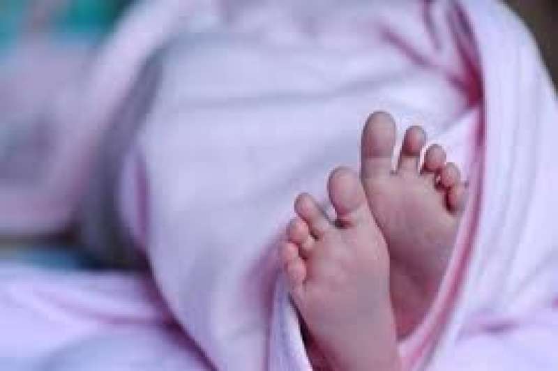 صورة ارشيفة 
