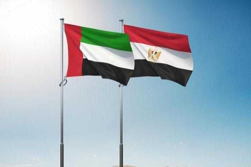 مصر والإمارات تواصلان الإسقاط الجوي لأطنان المساعدات الإنسانية لـ غزة