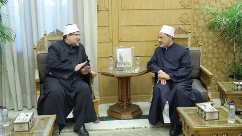 شيخ الأزهر ووزير الأوقاف