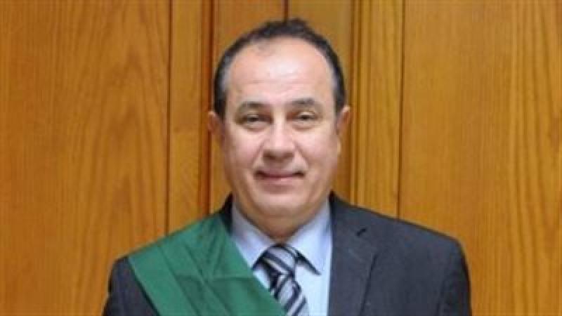 المستشار وجدي محمد عبدالمنعم 