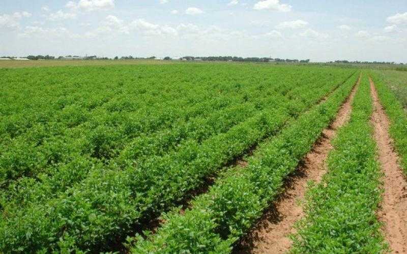 كيف يتم تعويض المواطنين بعد نزع أملاكهم للمنفعة العامة؟