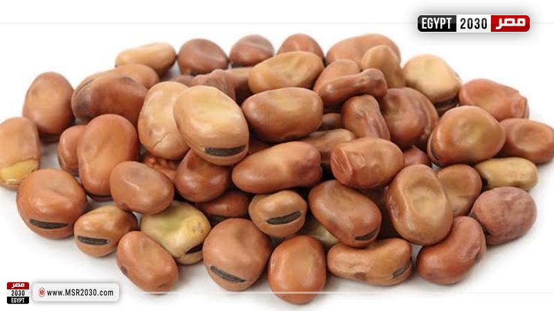 سعر الفول اليوم للمستهلك