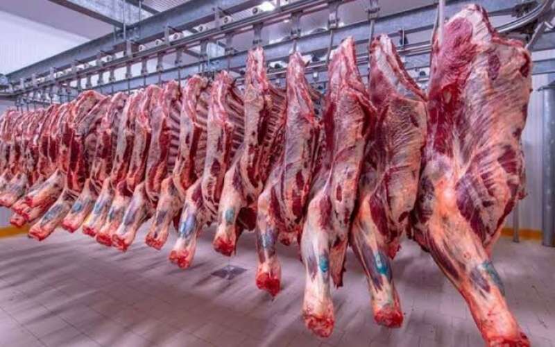 أسعار اللحوم